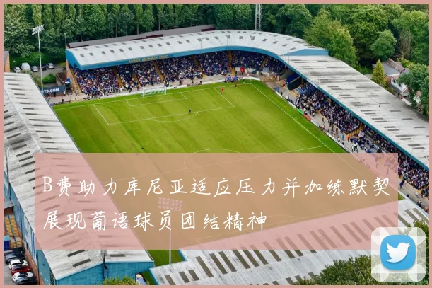 B费助力库尼亚适应压力并加练默契展现葡语球员团结精神