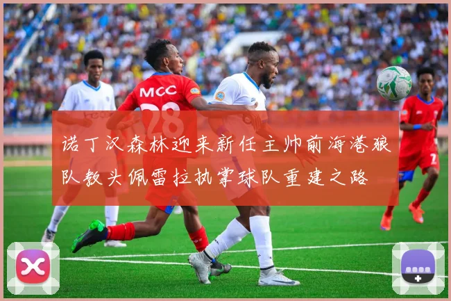 诺丁汉森林迎来新任主帅前海港狼队教头佩雷拉执掌球队重建之路