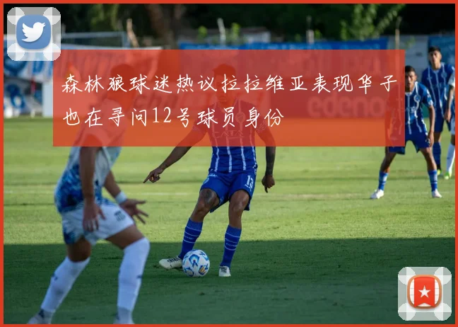森林狼球迷热议拉拉维亚表现华子也在寻问12号球员身份