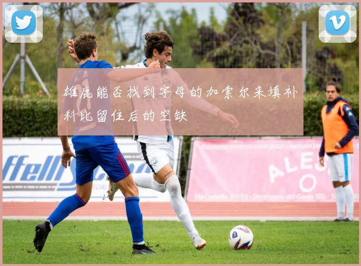 雄鹿能否找到字母的加索尔来填补科比留住后的空缺