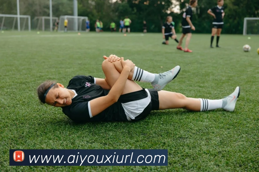 爱游戏体育APP 封面图